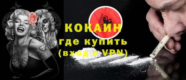 молекула духа Богданович