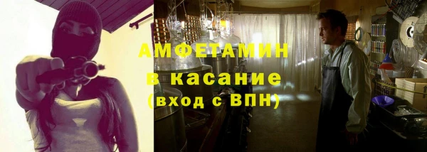 молекула духа Богданович