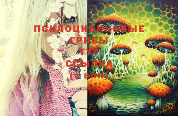 эйфоретик Бронницы