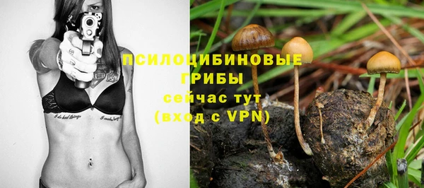 эйфоретик Бронницы