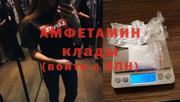 молекула духа Богданович