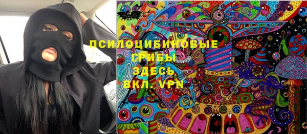 спайс Бородино