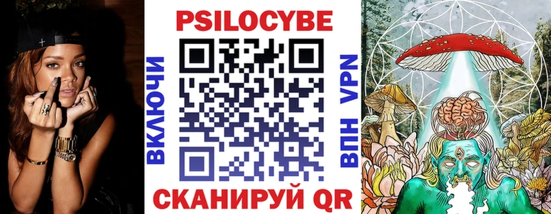 OMG как зайти  купить  цена  Кодинск  Псилоцибиновые грибы Magic Shrooms 
